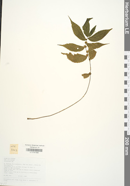 LE 01041688