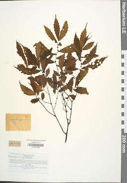 LE 01041692