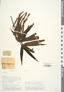 LE 01041748
