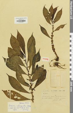 LE 01041767