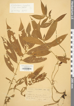 LE 01041769