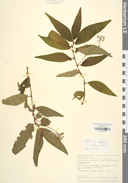 LE 01041775