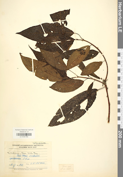 LE 01041783