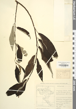 LE 01041785