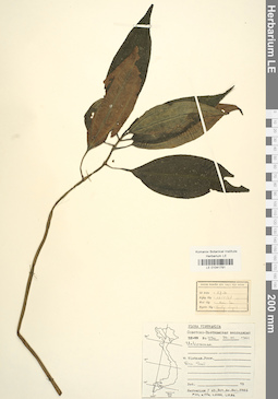 LE 01041791