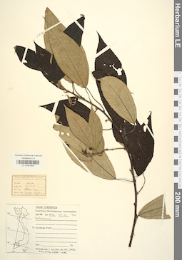 LE 01041800