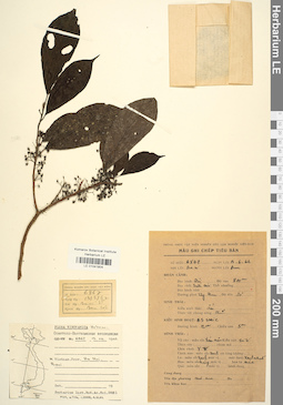 LE 01041804