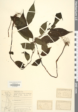 LE 01041820