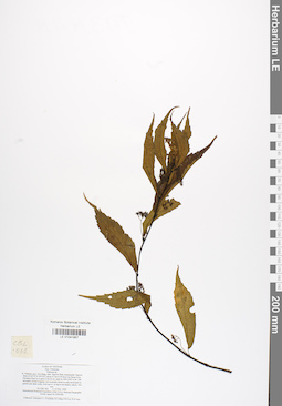 LE 01041857