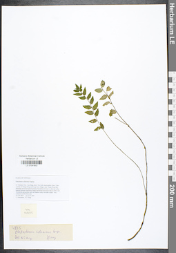LE 01041902