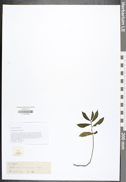 LE 01041903