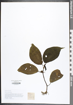 LE 01041912