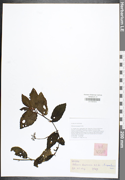 LE 01041914