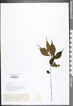 LE 01041922