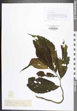 LE 01041924