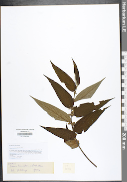 LE 01041926