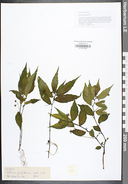 LE 01041928