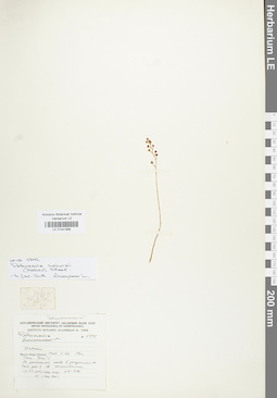 LE 01041988