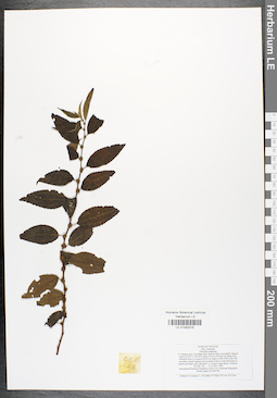 LE 01042015