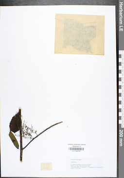 LE 01042016