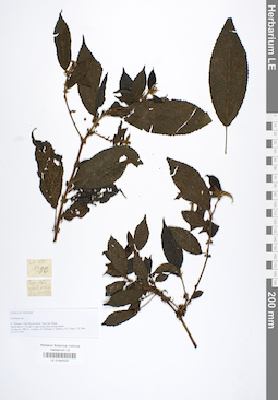LE 01042023