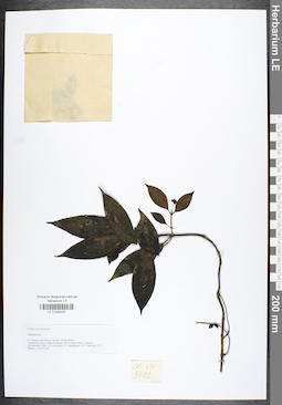 LE 01042031