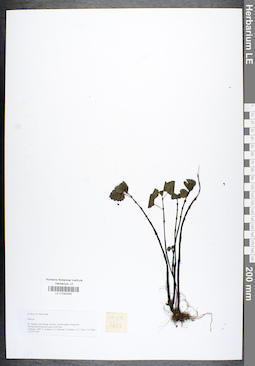 LE 01042040