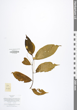 LE 01042069