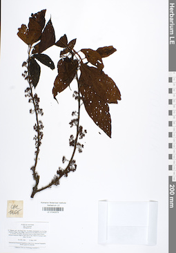 LE 01042073