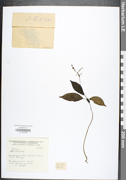 LE 01042085