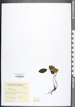 LE 01042091