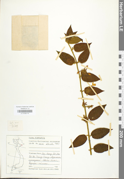 LE 01042110