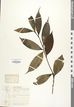 LE 01042123