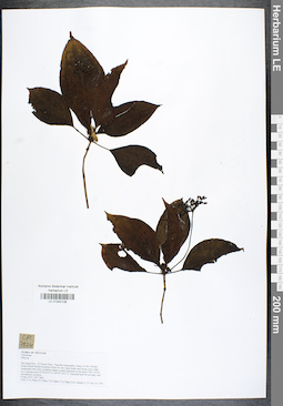 LE 01042128