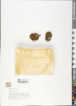 LE 01048196