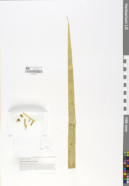 LE 01048207