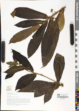 LE 01048292
