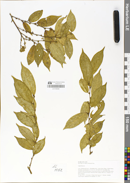 LE 01048308