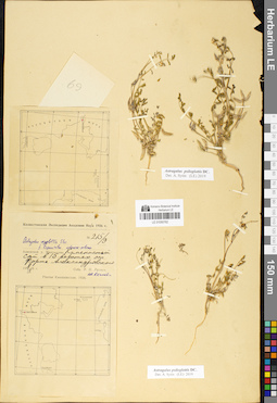 LE 01050782
