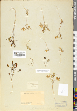 LE 01050783
