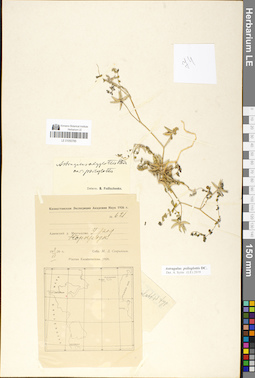 LE 01050785