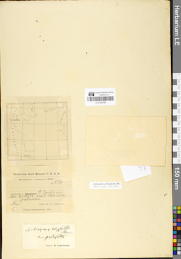 LE 01050786
