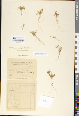 LE 01050787
