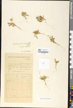 LE 01050789