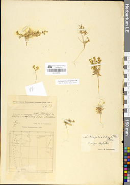 LE 01050790