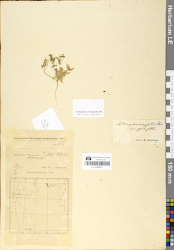 LE 01050791