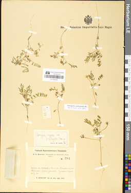 LE 01050793