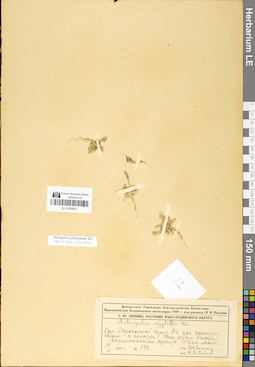 LE 01050803