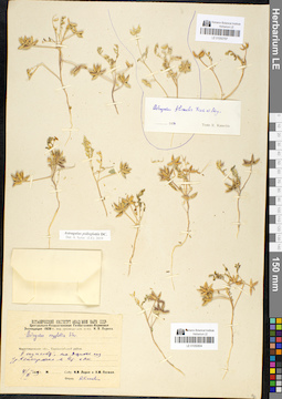 LE 01050804