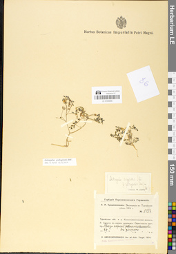 LE 01050805
